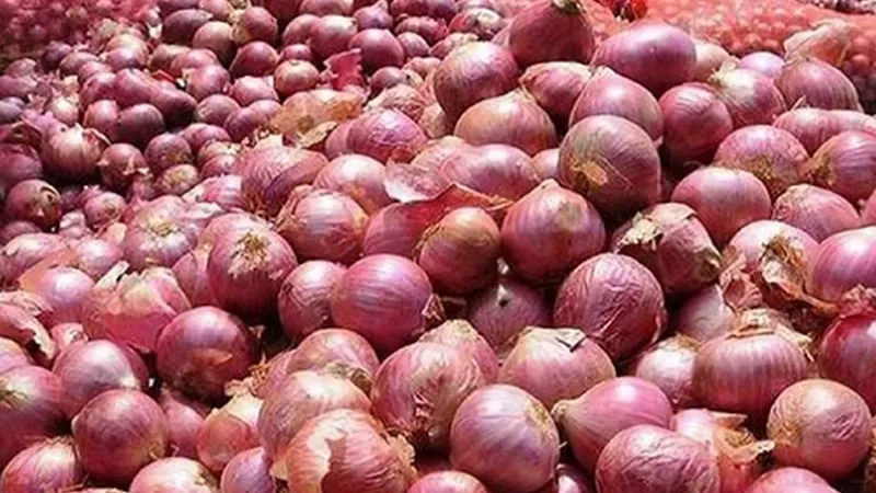 পেঁয়াজ রপ্তানিতে নিষেধাজ্ঞা প্রত্যাহার করলো ভারত