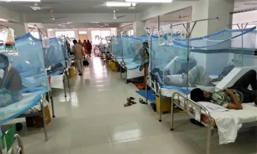 ডেঙ্গু আক্রান্ত আরও ১৪৬ জন হাসপাতালে ভর্তি