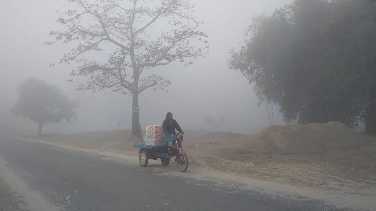 তেঁতুলিয়ায় তাপমাত্রা ৮ ডিগ্রি, আকাশ ঘন কুয়াশায় ঢাকা