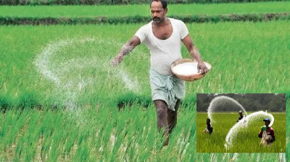 ৯০ হাজার টন সার কিনবে সরকার