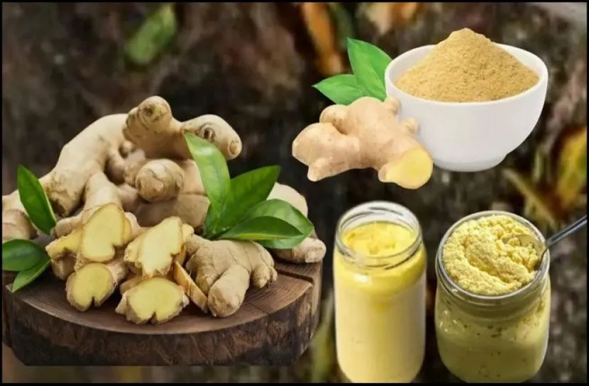 আদা দীর্ঘদিন টাটকা রাখার উপায়