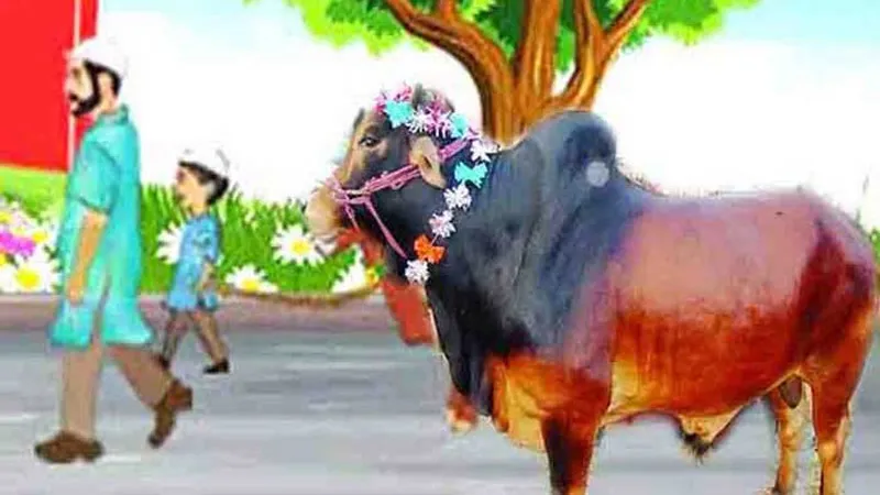ঈদুল আজহা উপলক্ষে ৬ দিন ছুটি ঘোষণা কুয়েতে