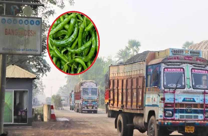 বাংলাদেশে ঢুকছে ভারতীয় কাঁচা মরিচ