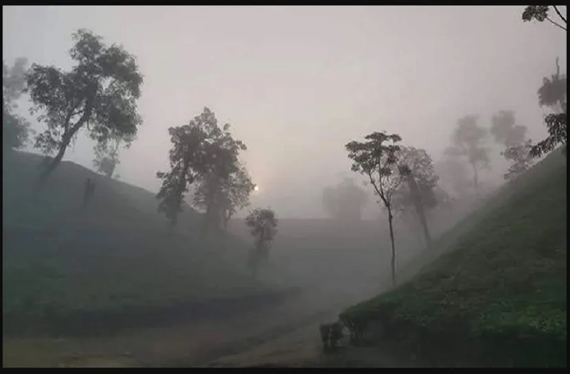 শ্রীমঙ্গলে মৌসুমের সর্বনিম্ন তাপমাত্রা রেকর্ড