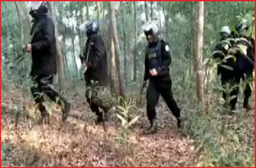 রোহিঙ্গা ক্যাম্পে র‌্যাবের অভিযান, আটক ২