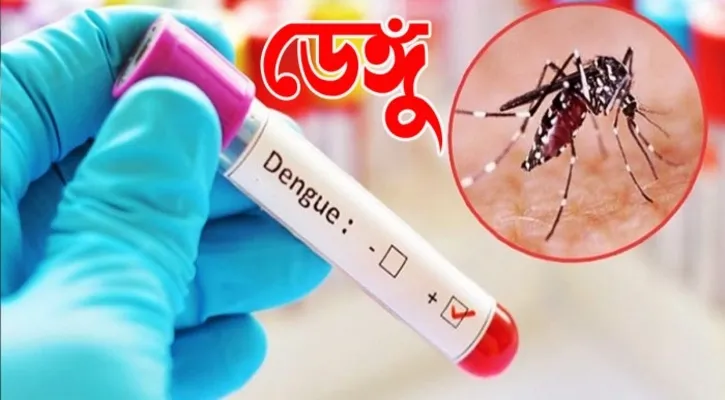 ডেঙ্গুতে আরও ১০ জনের মৃত্যু, হাসপাতালে ২২০২