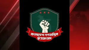 ভাঙন বিতর্কে বাগছাস, আংশিক প্যানেল ঘোষণা