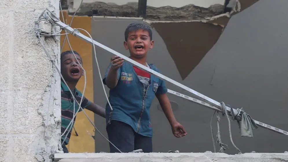 গাজায় ইসরাইলি হামলায় একদিনে ৫০ ফিলিস্তিনি নিহত