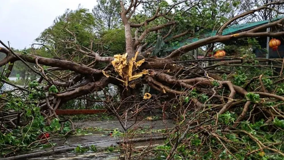 টাইফুন বুয়ালোইয়ের আঘাতে লণ্ডভণ্ড ভিয়েতনাম, মৃত্যু বেড়ে ১৯