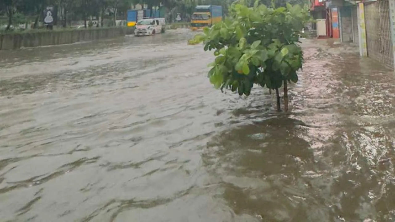 ২৪ ঘণ্টায় ঢাকায় ২০৬ মিলিমিটার বৃষ্টি