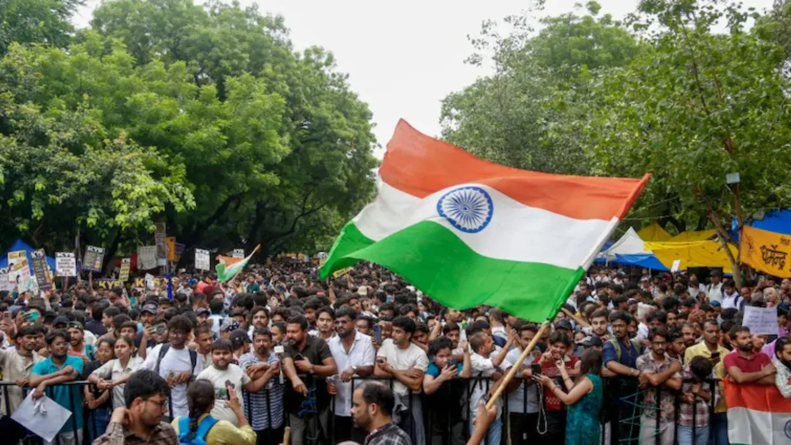 ভারতে ‘তেলাপোকা’র উৎপাতে বিপর্যস্ত মোদি সরকার