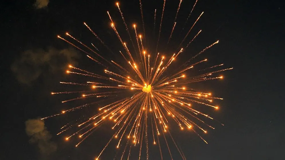 থার্টিফার্স্ট নাইটে আতশবাজি ফোটানোর বিরুদ্ধে সোচ্চার তামিমরা