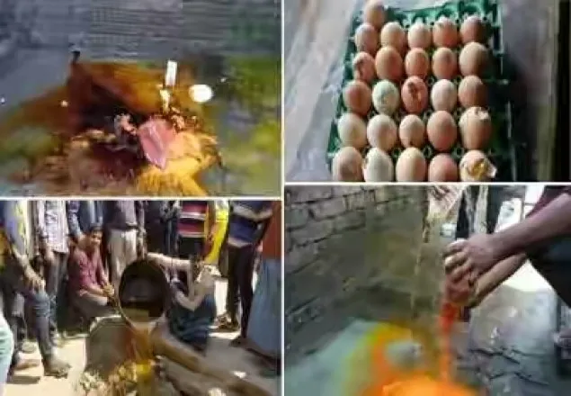 পঁচা ডিম দিয়ে কেক বানানোয় বেকারি কে ৫০হাজার টাকা জরিমানা