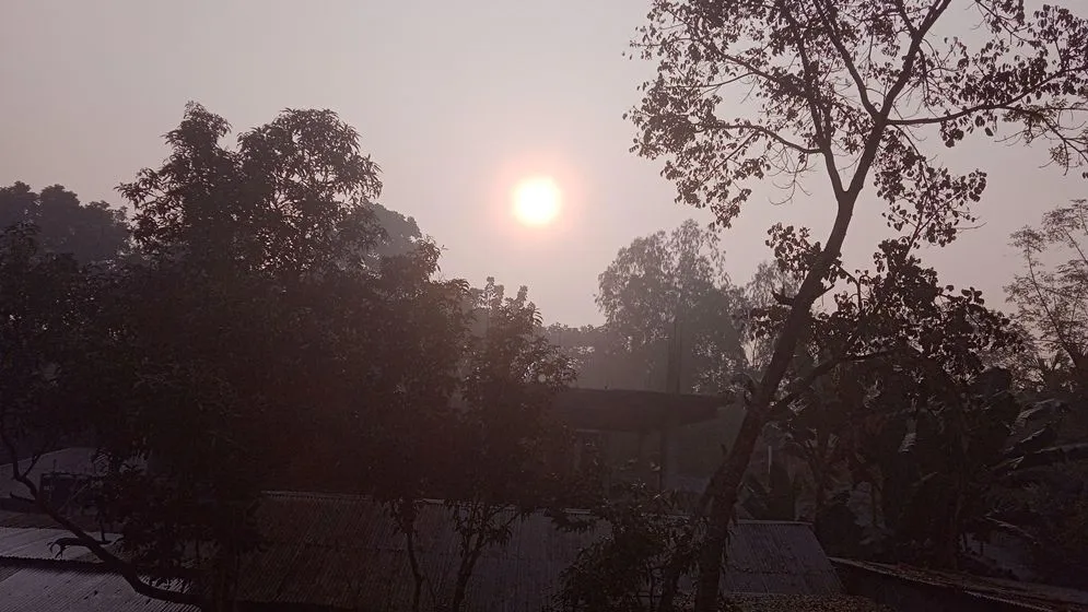 ঠাকুরগাঁওয়ে কুয়াশা কাটলেও হাড়কাঁপানো ঠান্ডায় জবুথবু জনজীবন