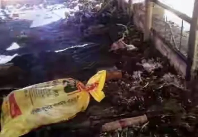 আগুনে পুড়ল ৯ হাজার মুরগি 