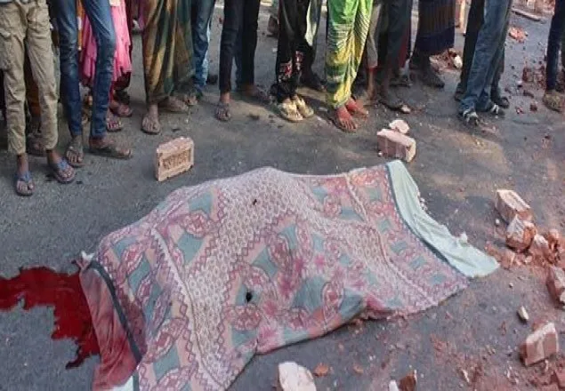মাগুরায় কাভার্ডভ্যানের ধাক্কায় নসিমন চালক নিহত 