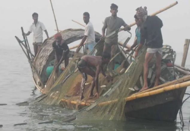 পদ্মা-মেঘনায় ২ মাস মাছ ধরা নিষেধ