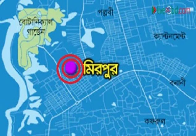 মিরপুরে দুর্বৃত্তের ছুরিকাঘাতে কিশোর নিহত