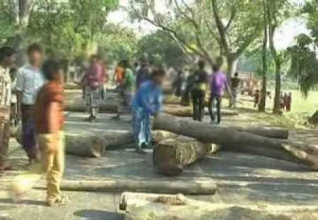 সরকারী কর্মকর্তাদের ম্যানেজ করে চলছে অবাধে গাছ নিধন