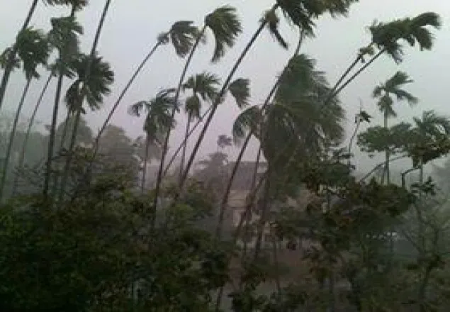 ভোলায় ঘূর্ণিঝড়ে শতাধিক বাড়ি-ঘর বিধ্বস্ত, আহত ৫