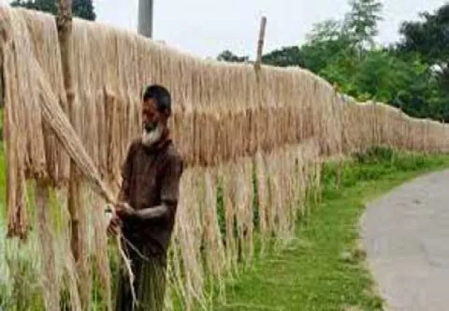 আজ জাতীয় পাট দিবস