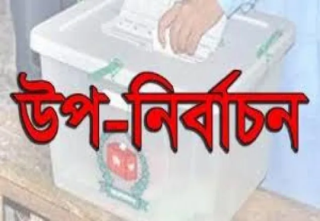 সুজানগর, কুমিল্লা, বড়াইগ্রামে, কলারোয়ায়,আ.লীগ প্রার্থী নির্বাচিত