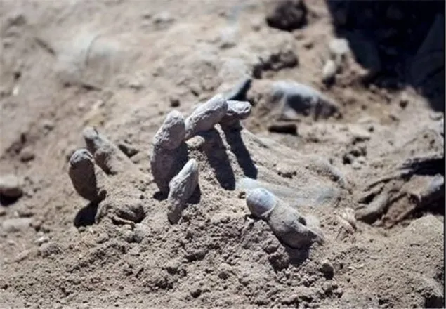 ইরাকের মসুলে অভিযানে গণকবরের সন্ধান