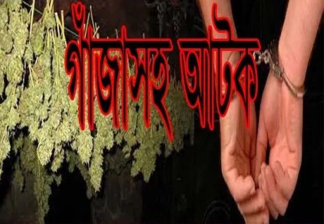 গাঁজাসহ গ্রেফতার যুবলীগ সভাপতি