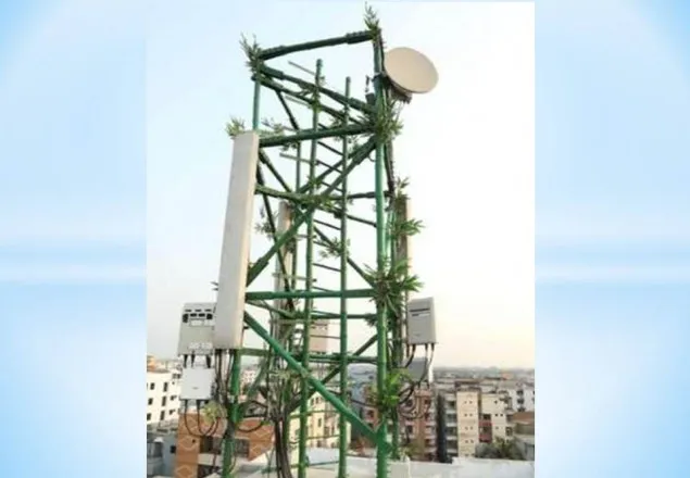 বাঁশ দিয়ে তৈরি হলো মোবাইল ফোনের টাওয়ার 