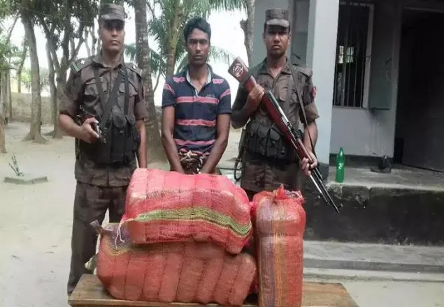 বেনাপোল সীমান্তে ৫২ কেজি গাঁজাসহ যুবক আটক