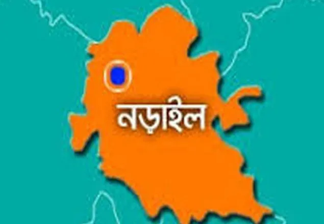 নড়াইলে প্রতিবেশিদের হামলায় গৃহবধূ নিহত, স্বামী আহত