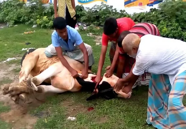 গরু জবাই করলে গুজরাটে যাবজ্জীবন কারাদণ্ড 
