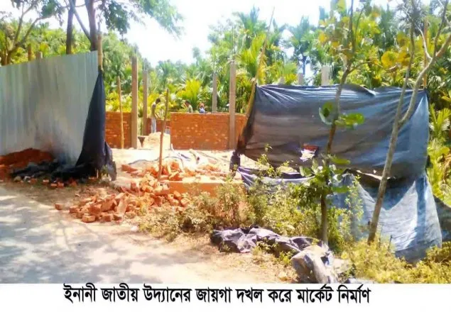 উখিয়া ও ইনানীর বনে ৬ হাজার অবৈধ বসতি, দখলে দলীয় নেতাকর্মীরা