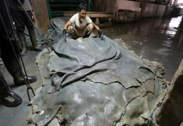 ট্যানারির ৩১ কোটি টাকা জরিমানা মওকুফ করেছে আপিল বিভাগ