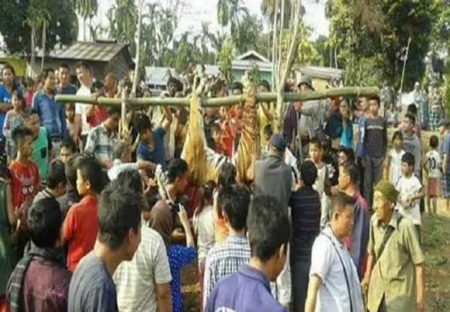 ‘বাঘ’ কেটে খেলো ভারতের মনিপুরবাসী