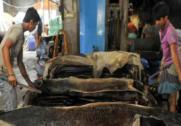 ট্যানারি শ্রমিক প্রতারণার ফাঁদ ‘প্রত্যয়নপত্র’