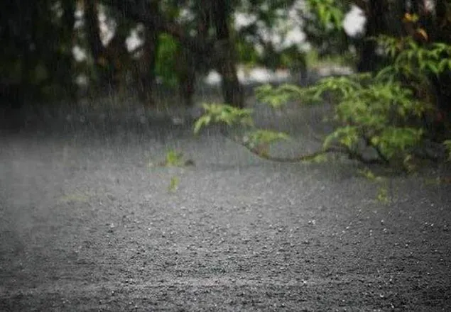 ঝড়ো হাওয়াসহ বৃষ্টি হতে পারে