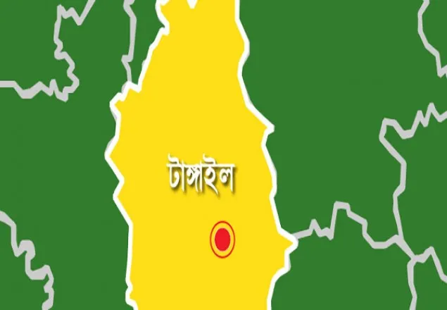 টাঙ্গাইলে ভাতিজার হাতে চাচা খুনের অভিযোগ