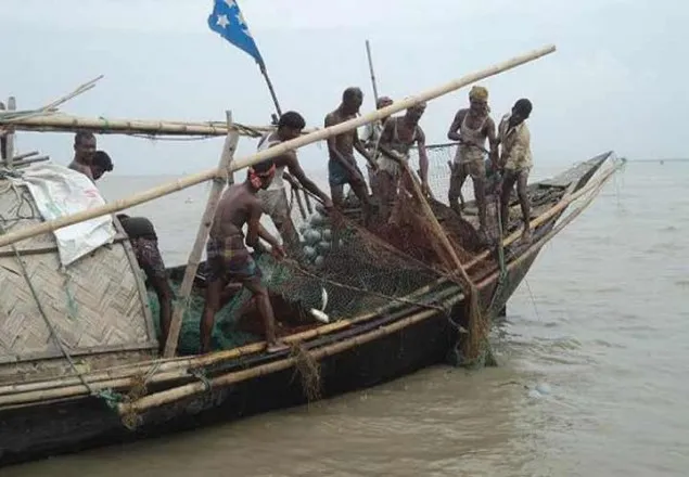 ইলিশ শিকারে নদীতে অর্ধলাখ জেলে