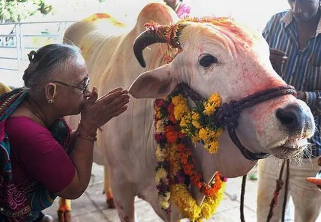 ভারতে গরু চুরি সন্দেহে দুই মুসলমানকে হত্যা