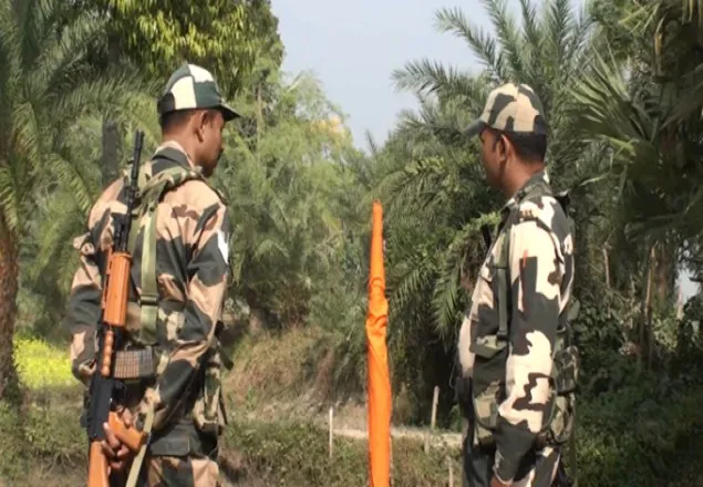 সীমান্তে দুই বাংলাদেশিকে মারধর করেছে বিএসএফ