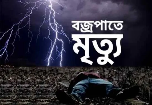 বজ্রপাতে দুই ভাইসহ ৫ জনের মৃত্যু 