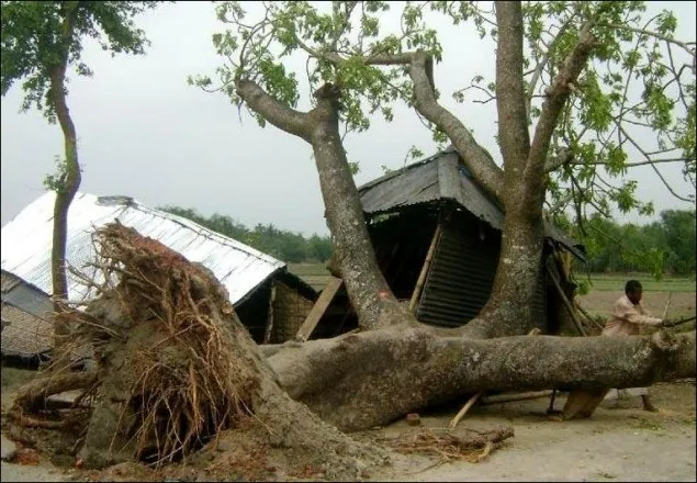 সারাদেশে ঝড়-বজ্রপাতে নিহত বেড়ে ১৬