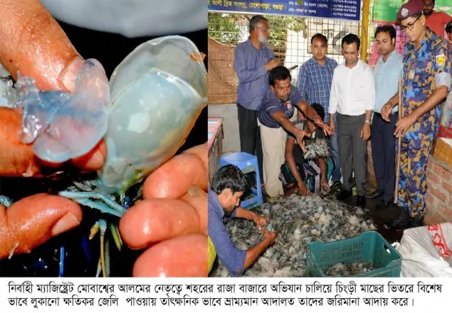 চিংড়ির ভিতর জেলি ঢুকিয়ে ওজন বাড়ানোয় জরিমানা