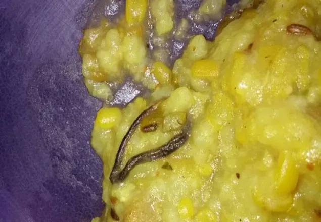 শিক্ষার্থীদের খাবারে মৃত সাপ!