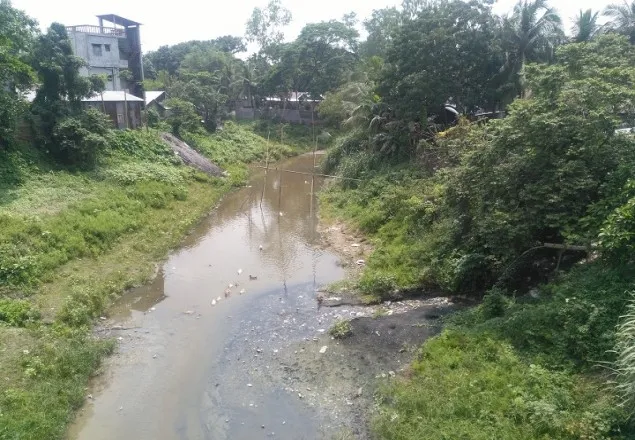 কালিহাতীর লাঙ্গুলিয়া নদী এখন দূষণ ও দখলের শিকার 