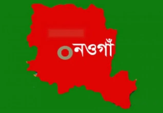 বৈশাখী ঝরে পরে যাওয়া লক্ষাধিক টাকার গাছ উধাও