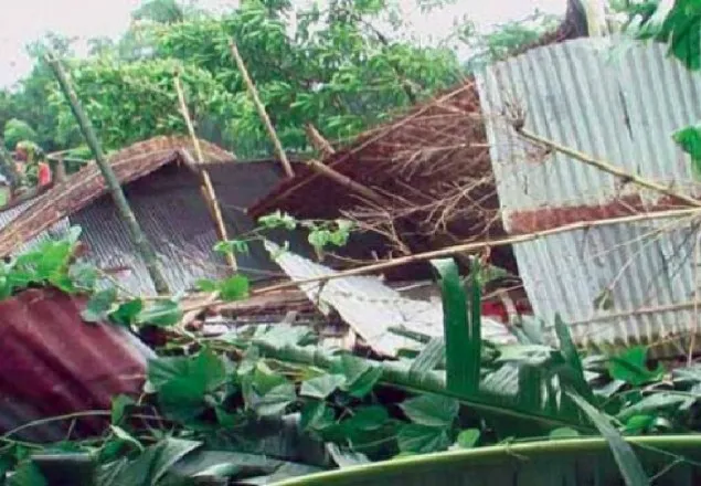 ঝড়ের ভেতর আম কুড়াতে গিয়ে স্কুলছাত্রের মৃত্যু 