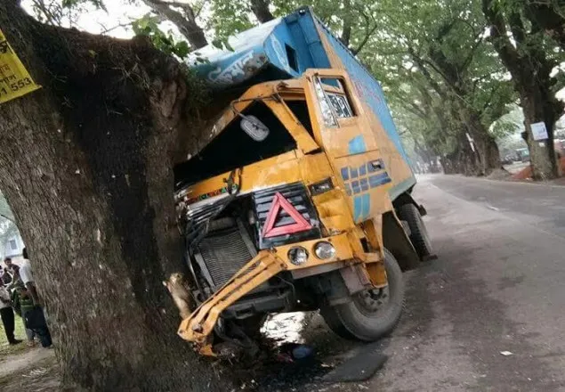 গাছের সাথে কভার্ডভ্যানের ধাক্কায় চালক নিহত
