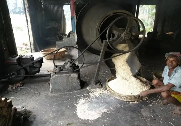 কালিহাতীর বিশুদ্ধ মুড়ির চাহিদা দেশজুড়ে